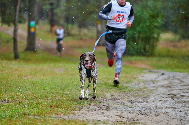 A man and his dog running in an event